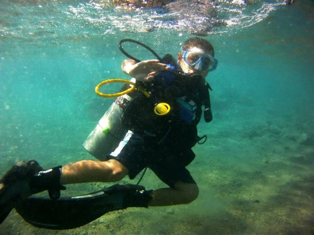 Arab Divers - Général