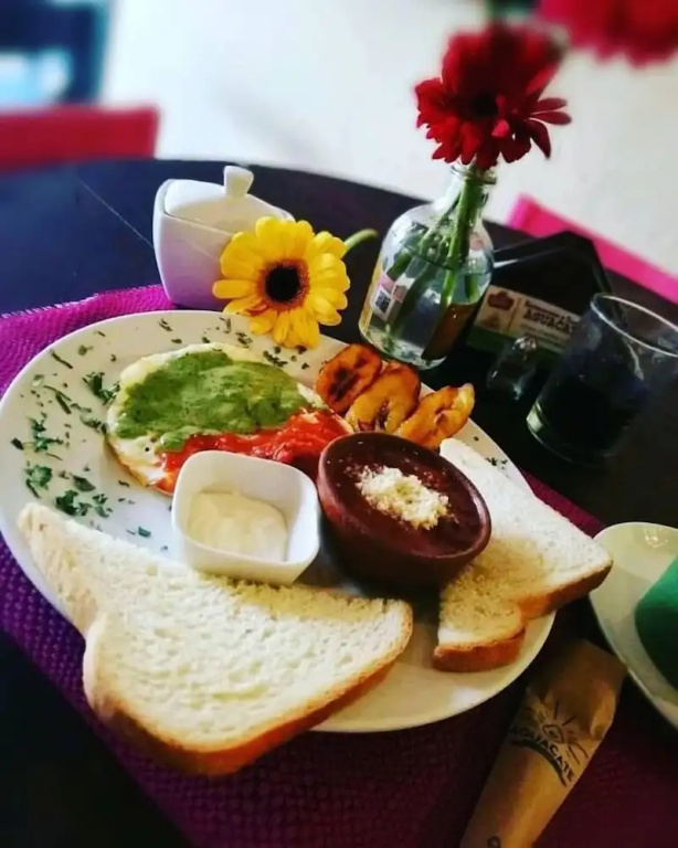 Hotel Gran Plaza Euromaya - Général