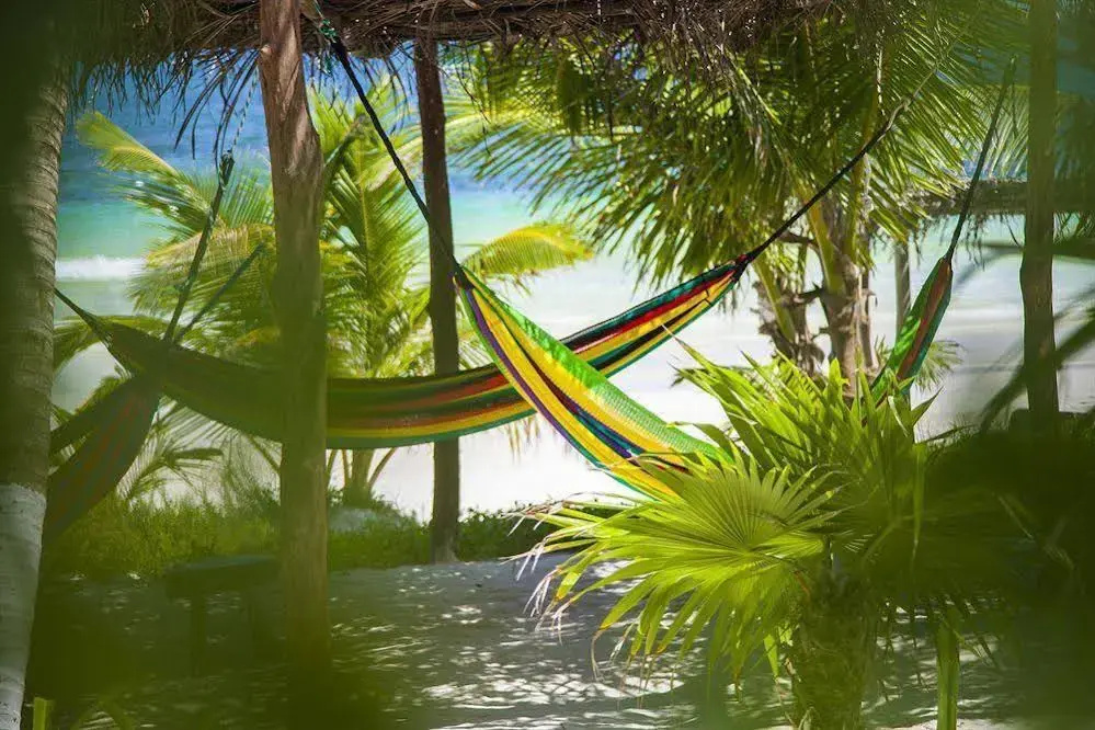 Mestizo Hotel Boutique