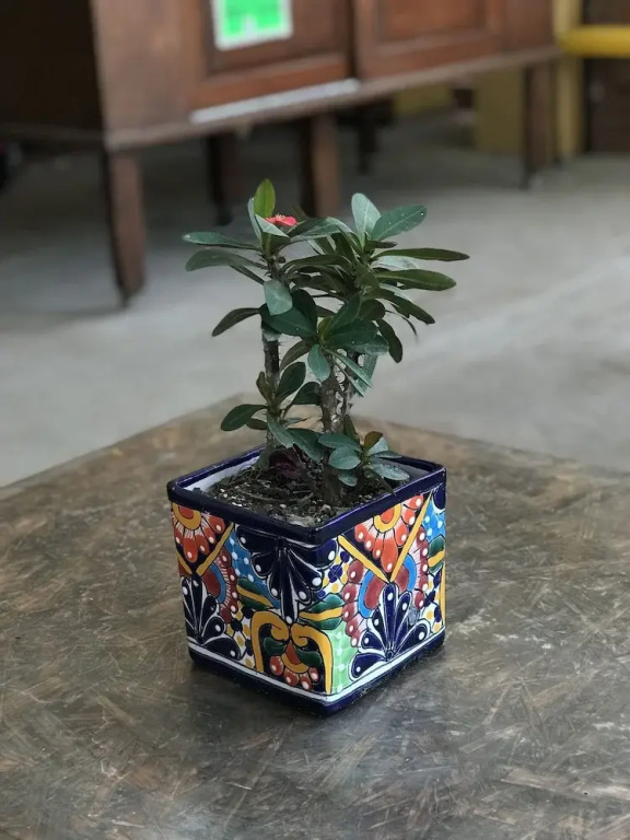 Hotel photo 42