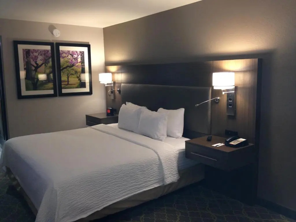 DoubleTree by Hilton Winston Salem - University - Chambres