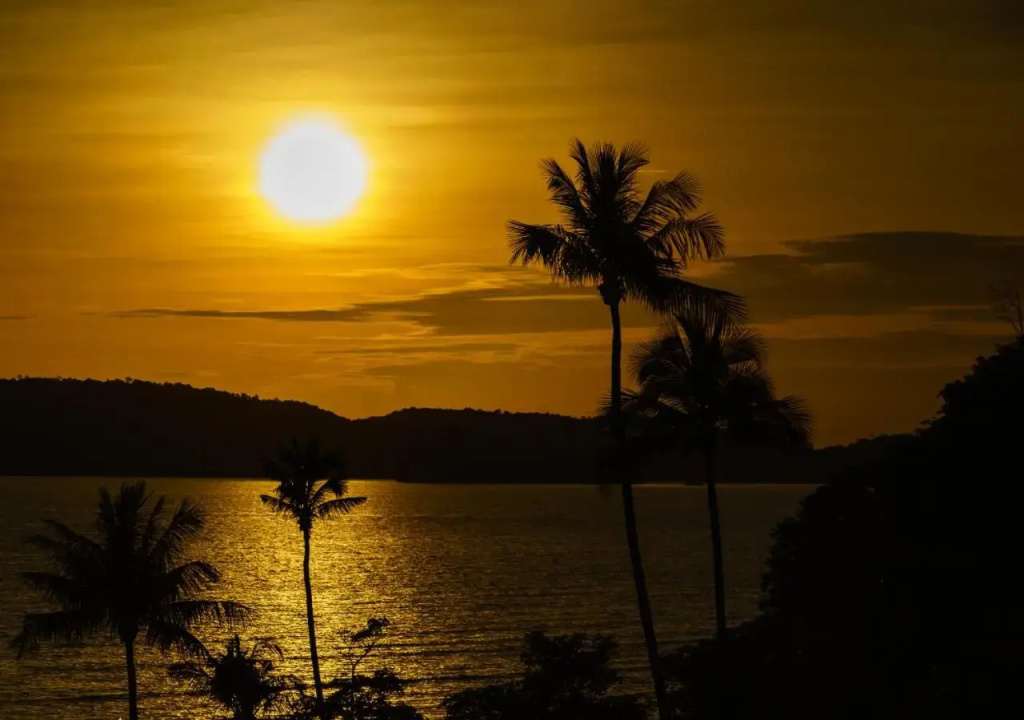 Exotica - The Beach Resort - Général
