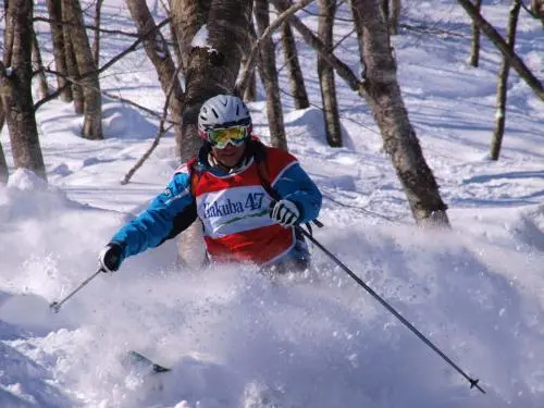 Hakuba Mountain Chalet - Général