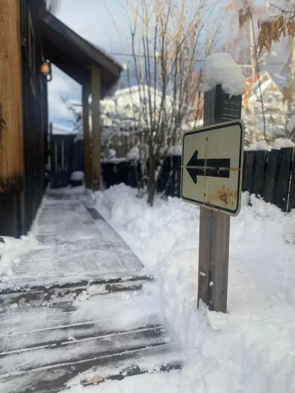 Downtown Whitehorse - Treehouse