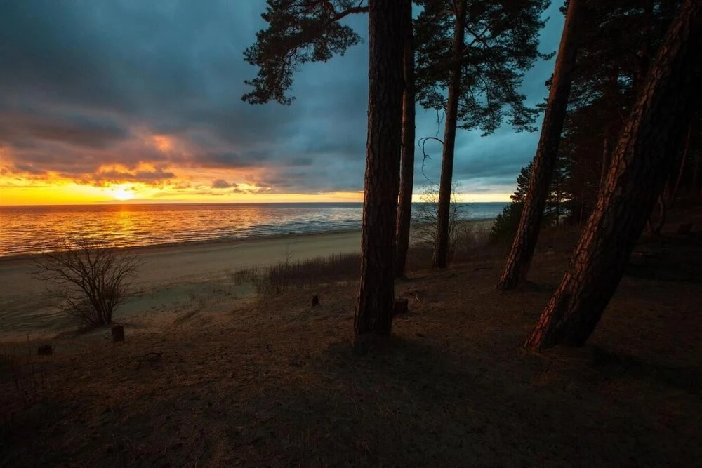 Beach & Waterfront