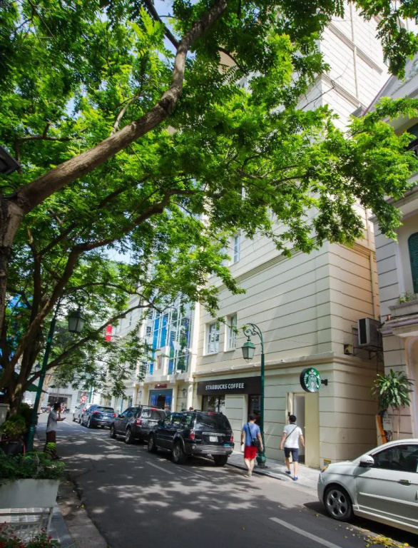 Conifer Boutique Hotel - Chambres