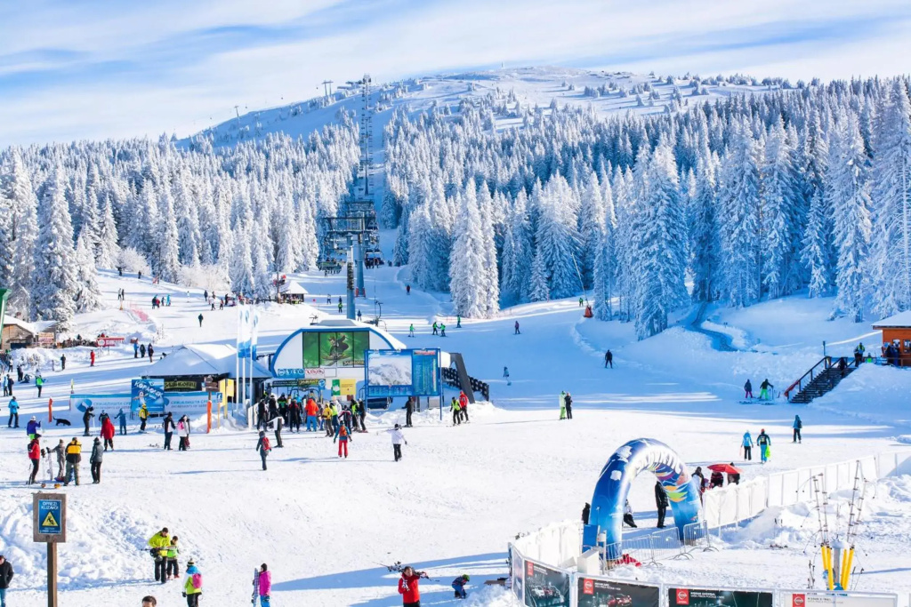 Forest View Apartments in Winterberg Sauerland