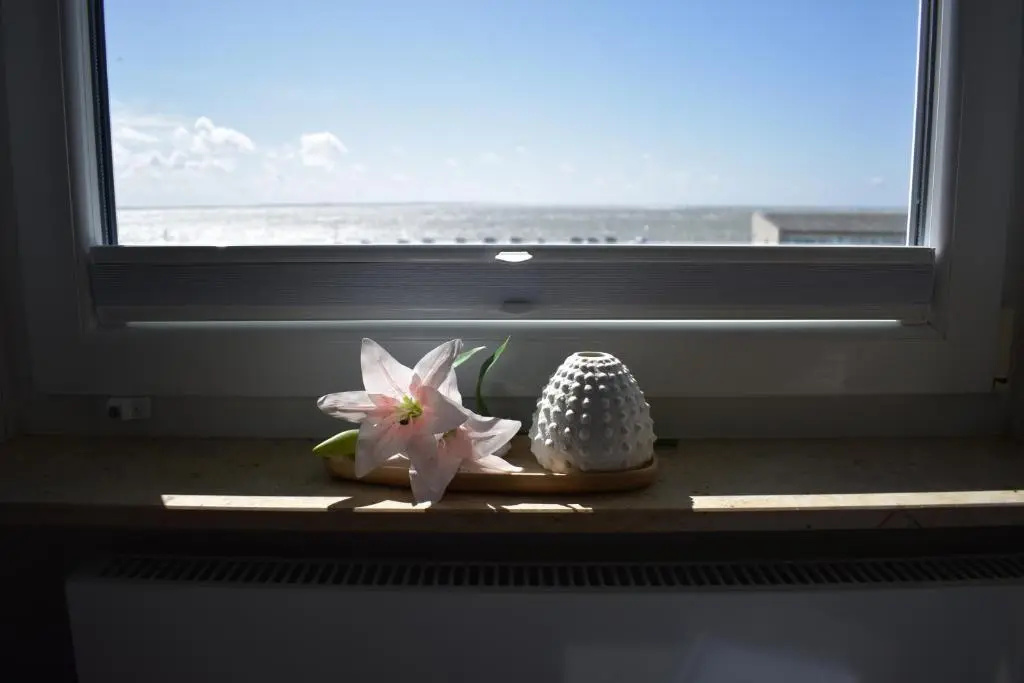Standard Single room with sea view
