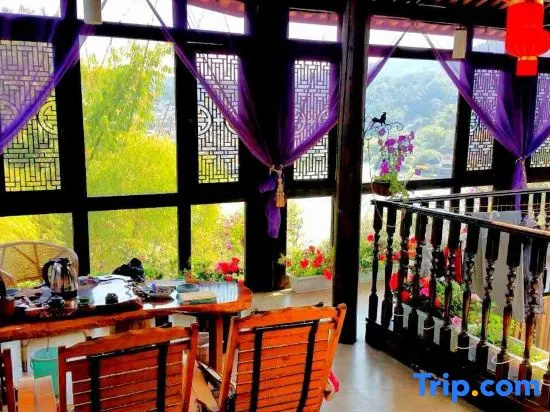 Balcony & Terrace
