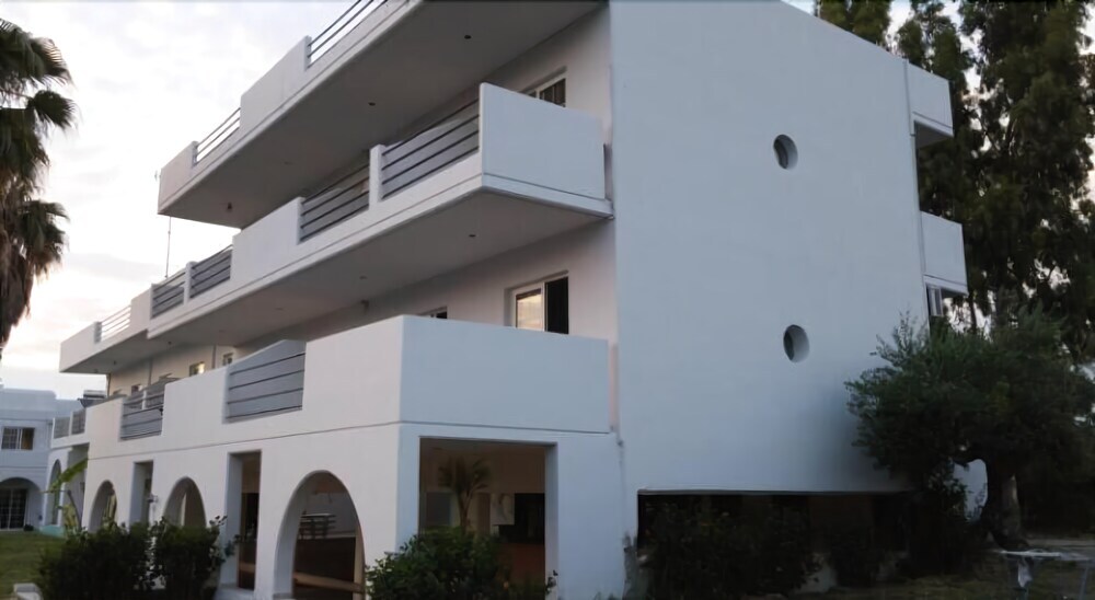 Image 5