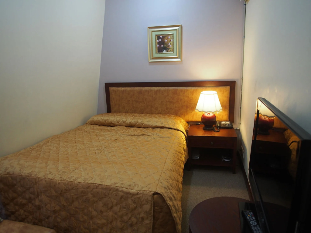 Comfort Hotel Sydney City - Général