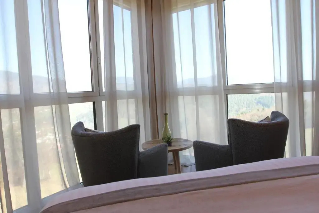Standard Double room with mountain view (full double bed)