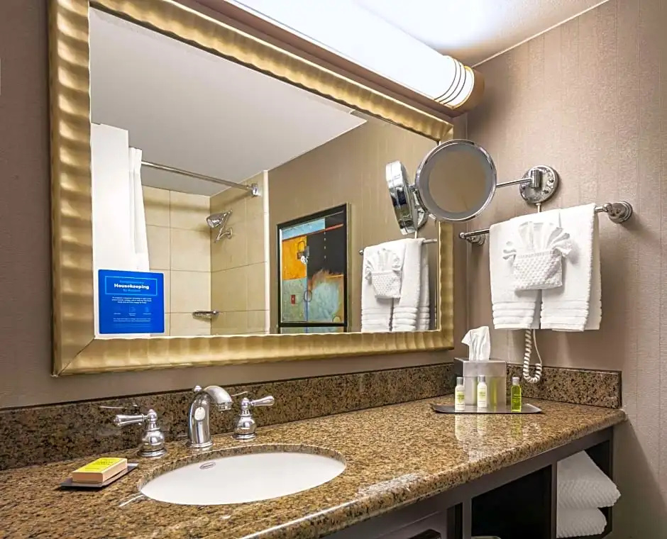 DoubleTree by Hilton Dallas - Market Center - Chambres