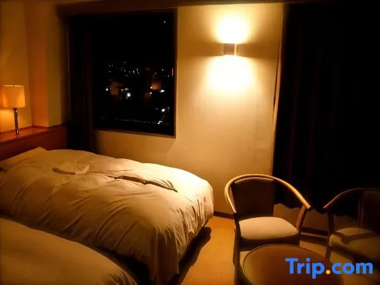 Standard Double room with mountain view (twin beds)