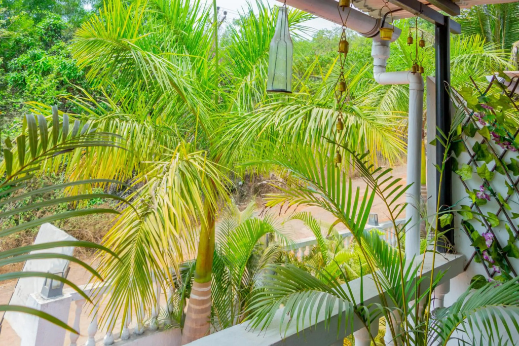 3 BHK LUXURY VILLA WITH POOL & HI SPEED WIFI in ASSAGAO