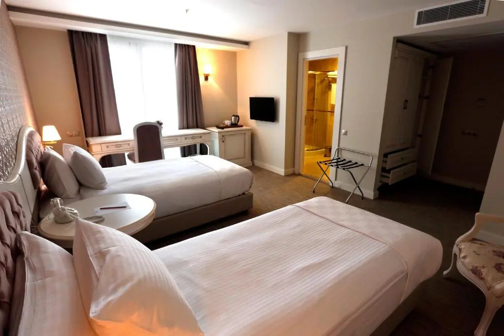 Standard Double room with city view (twin beds)