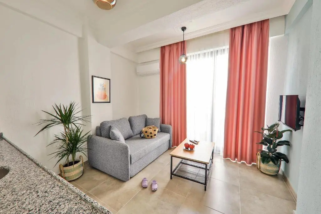1 Bedroom Apartment