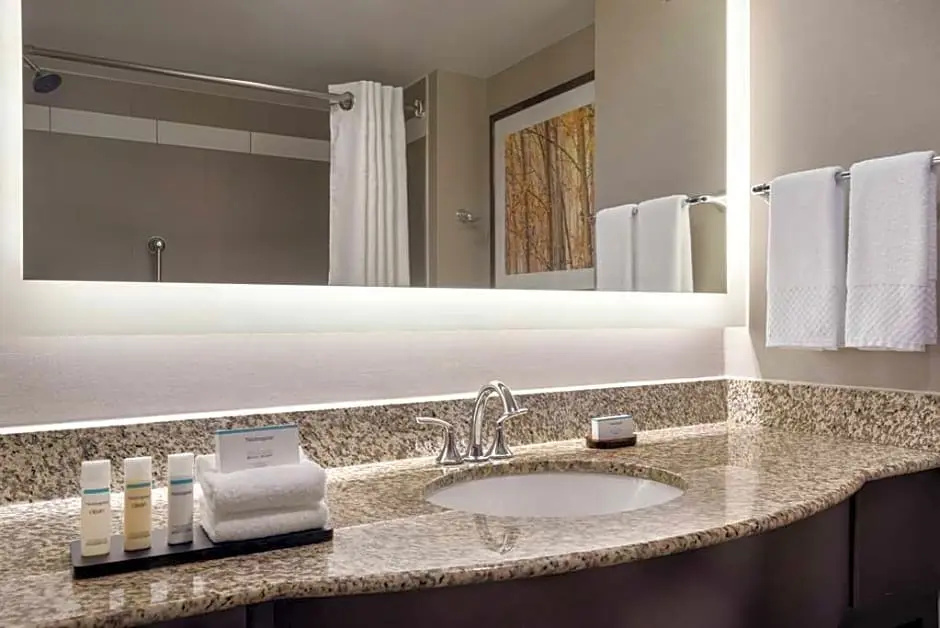 Embassy Suites by Hilton Atlanta Alpharetta - Chambres