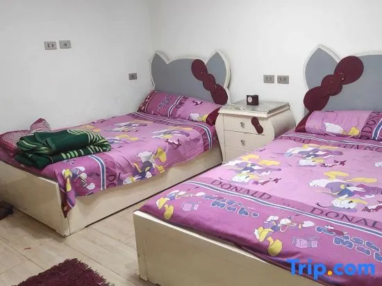Luxurious central-located comfy apartment