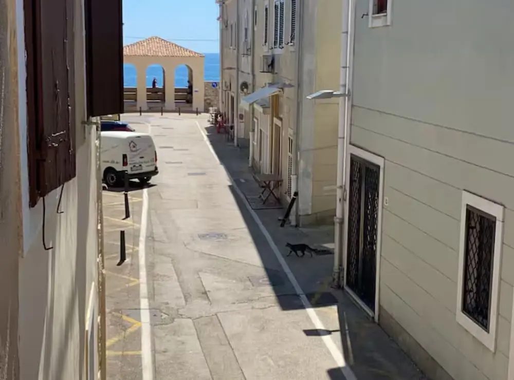 Apartment old Town-novigrad 20 m From the sea