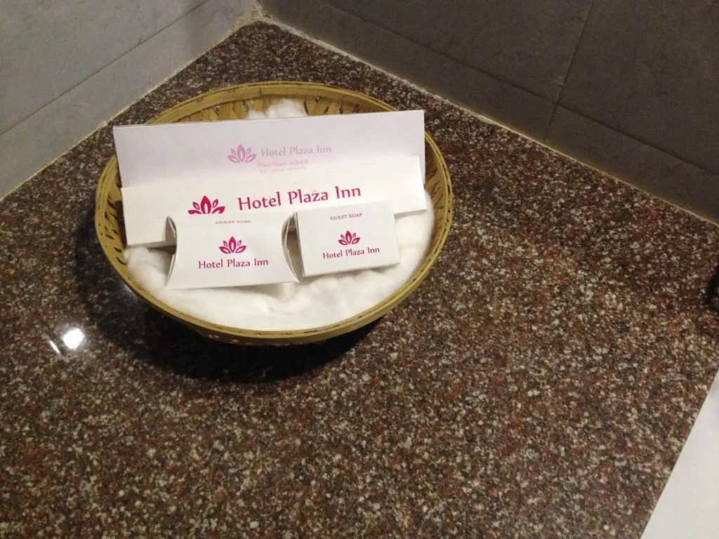 Hotel Plaza Inn - Général