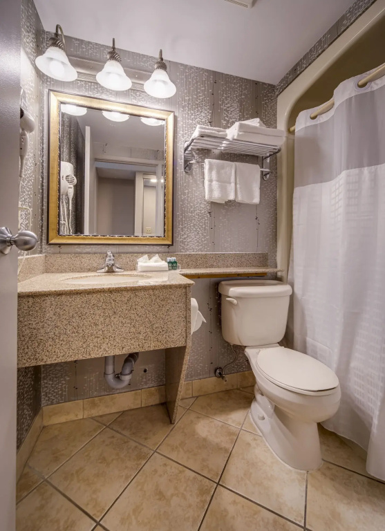 Monte Carlo Inn Vaughan Suites - Général