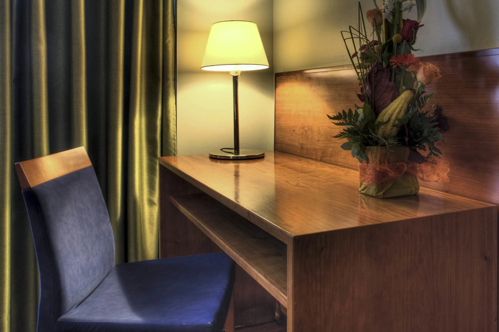 Hotel Zenit Diplomatic - Général
