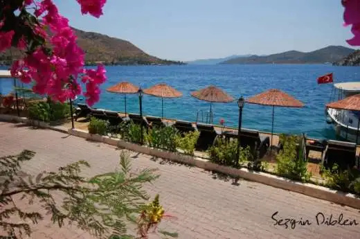 Beach & Waterfront