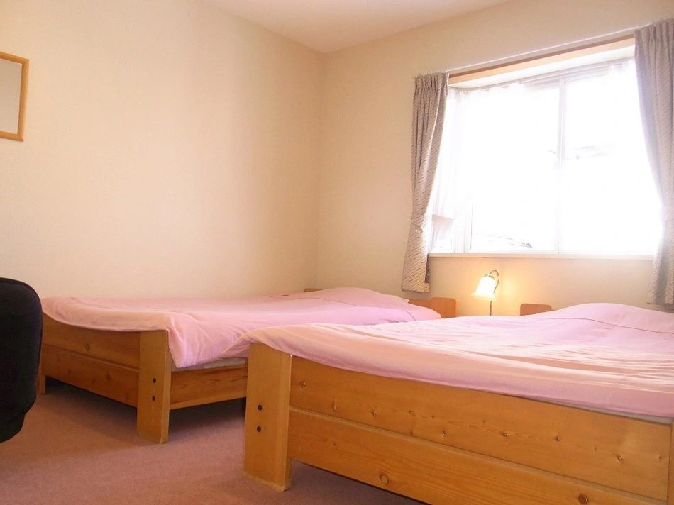 Standard Double room with mountain view (twin beds)