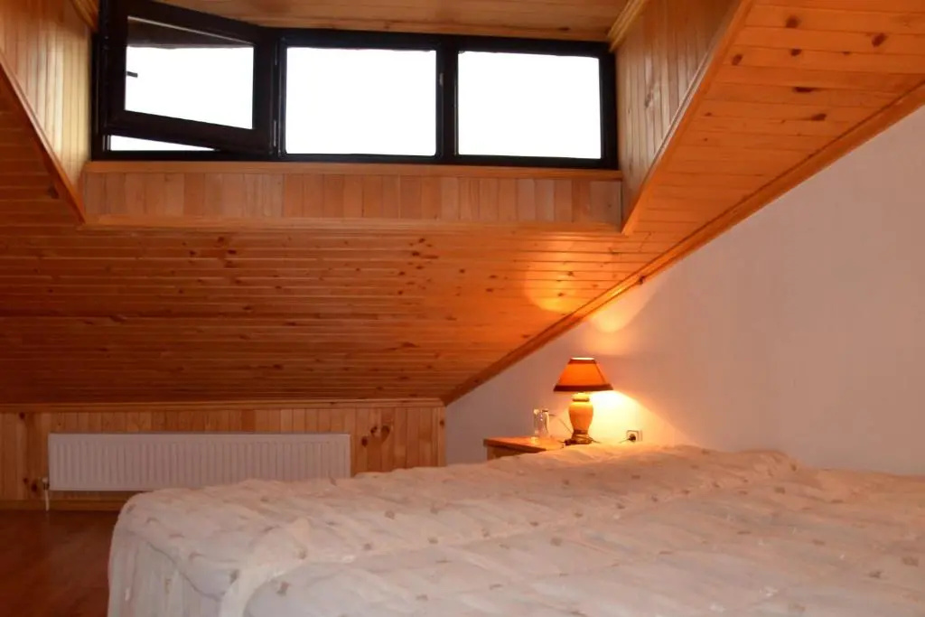 Standard Double Attic room (twin beds)