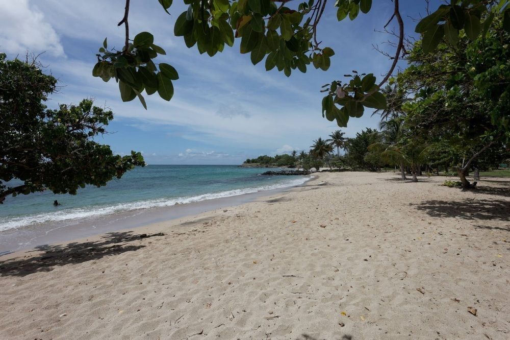 Beach & Waterfront