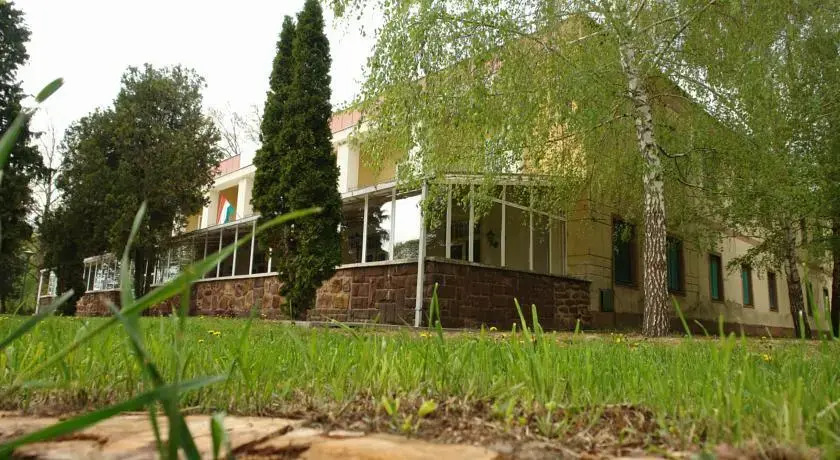 Like Hotel Vonyarc - фото 8