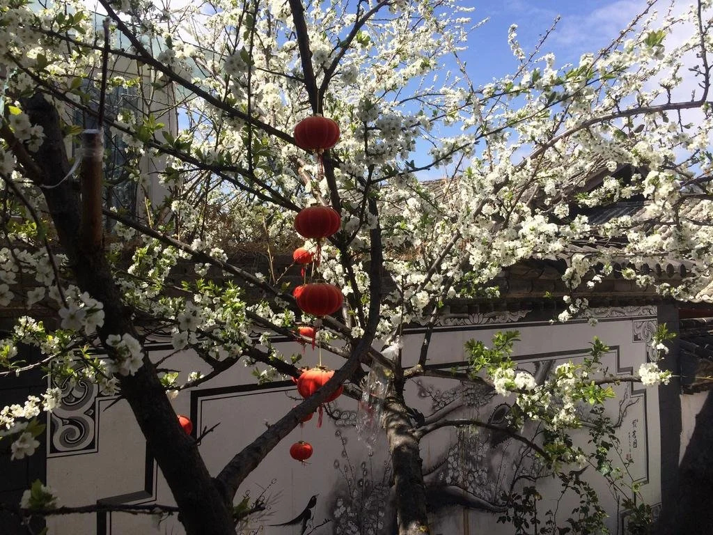 Lijiang Yuese Inn