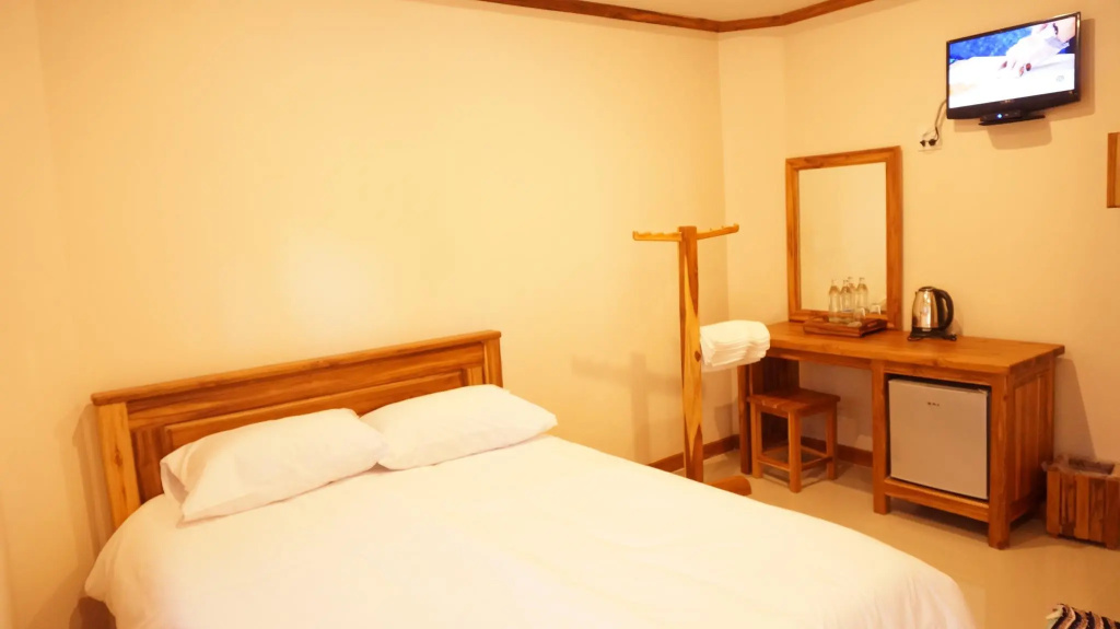Standard Double room (full double bed)