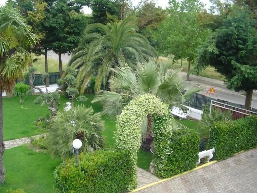 Hotel photo 11