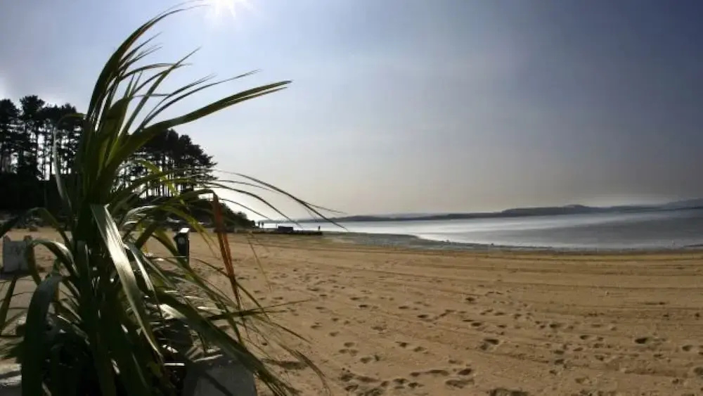 Driftwood in Poole With 3 Bedrooms and 3 Bathrooms - фото 12