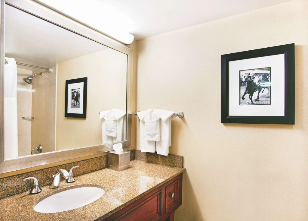 DoubleTree by Hilton Baltimore North - Pikesville - Général