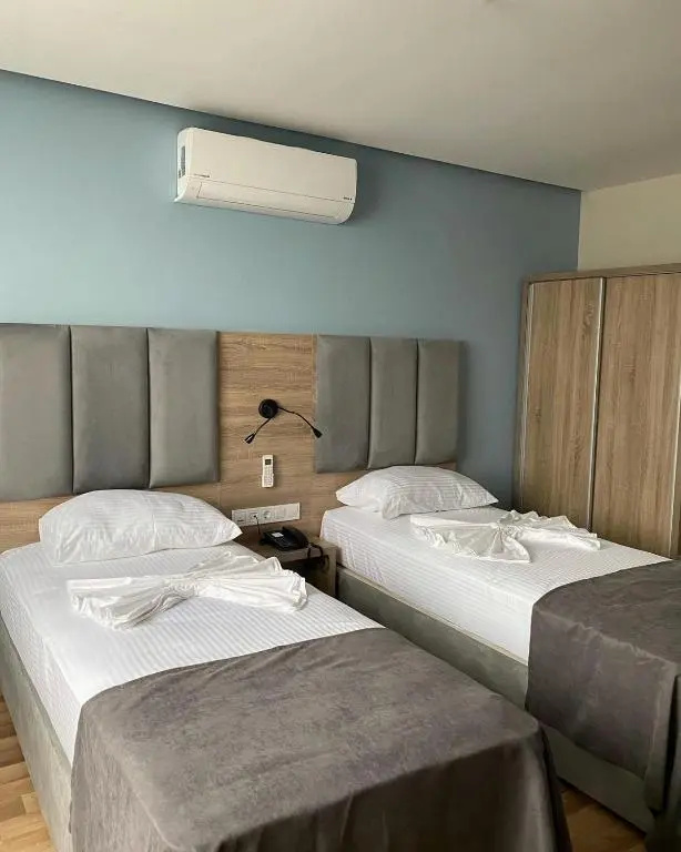 Deluxe Double room (twin beds)
