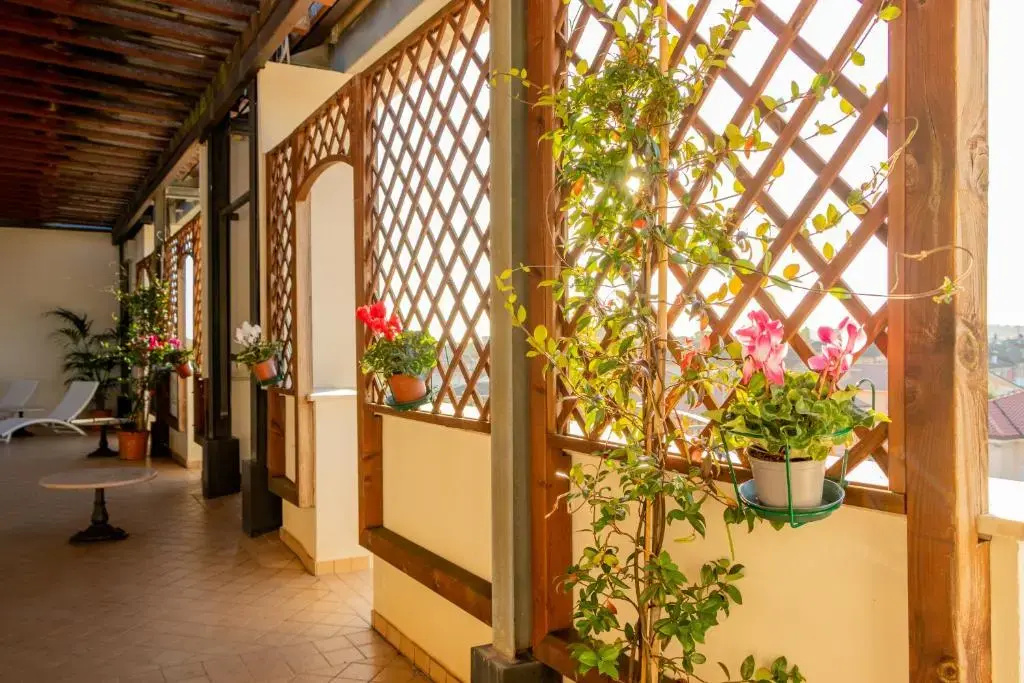 Hotel San Clemente - Général