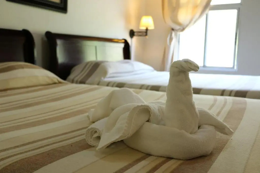 Hotel Campestre - Chambres