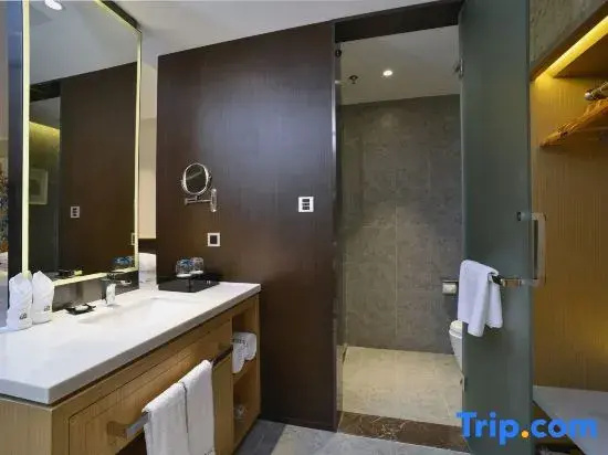 Campanile Hotel (Shenzhen Longcheng Plaza Metro Station) - Chambres