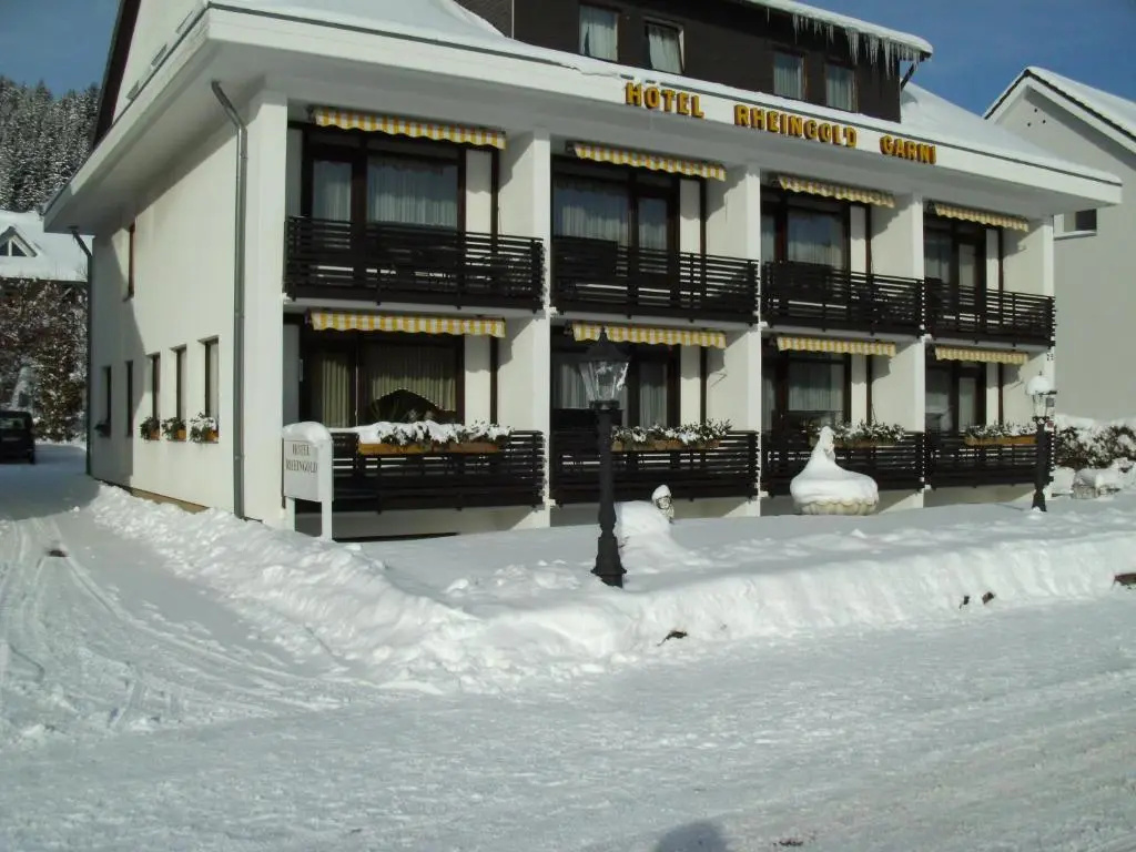 Hotel Rheingold - Chambres