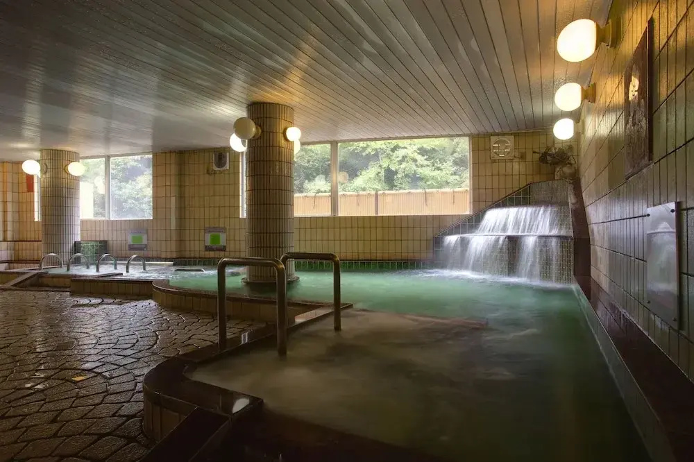 Hananosato Onsen Sansuikan - фото 14