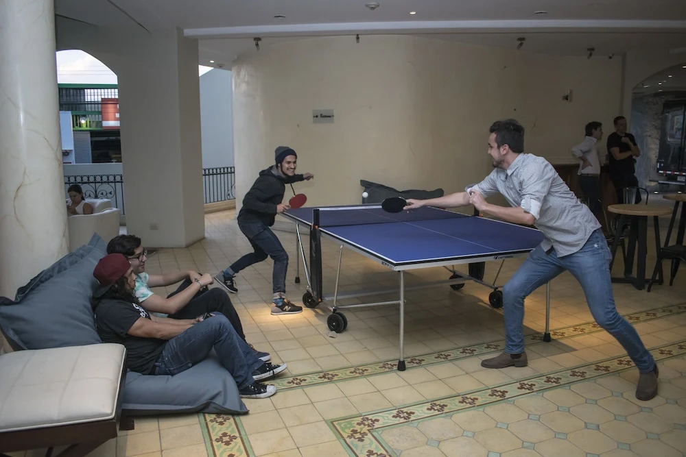 Fauna Luxury Hostel - фото 36