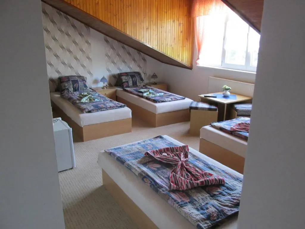 Pension U Vlášků - Chambres