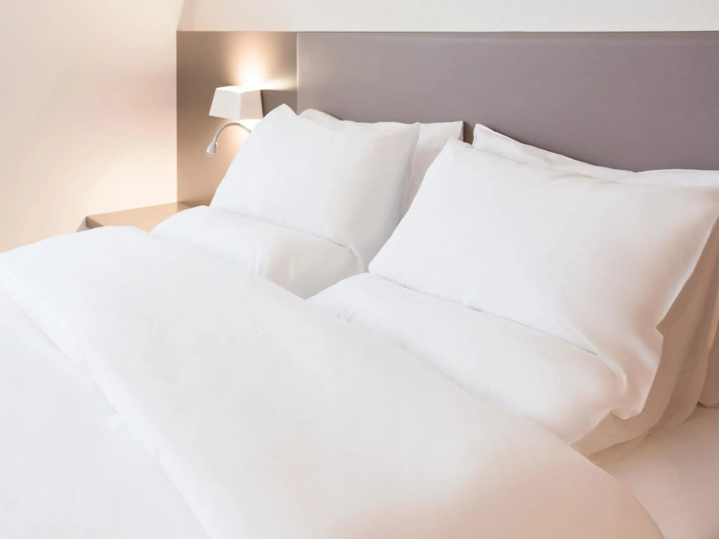 Novotel Suites Geneve Aeroport - Général