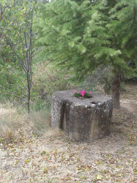 Ardetxal