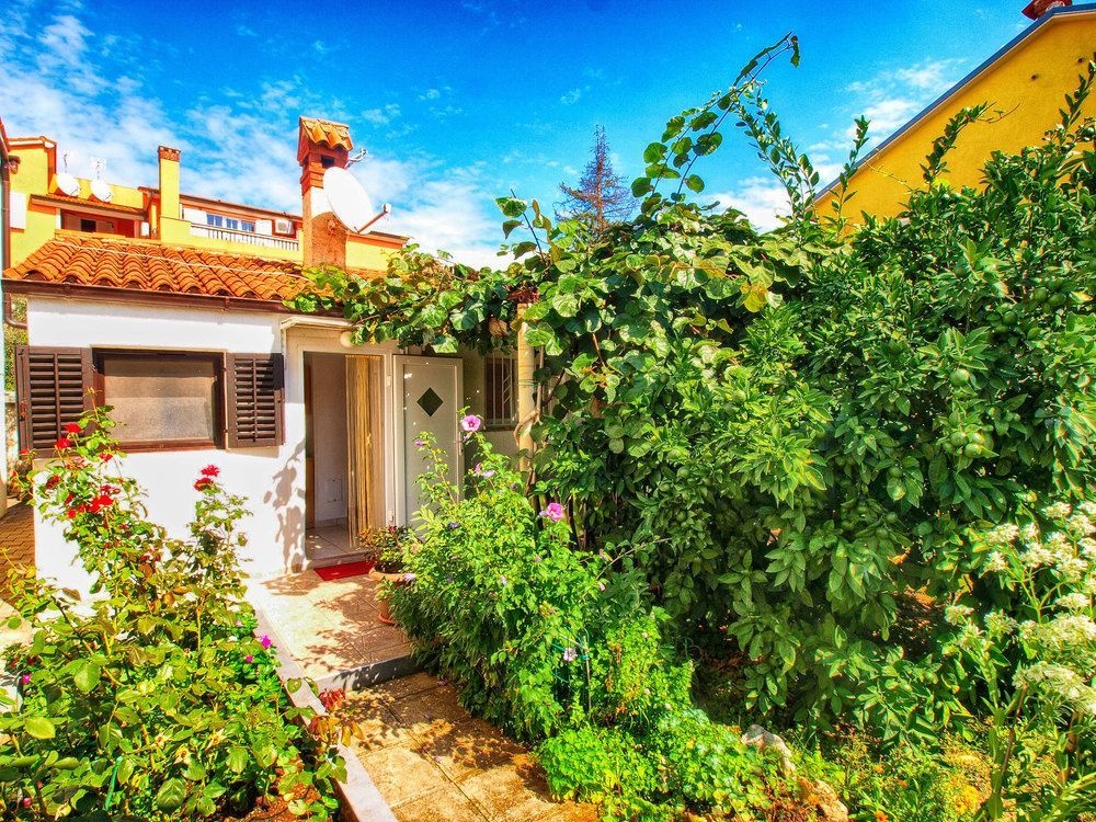 Apartment Ana 405