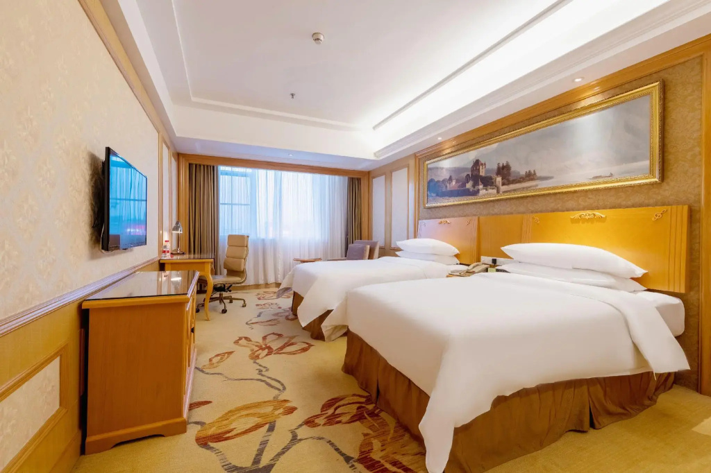 Vienna International Hotel Shenzhen North Station Branch - Général