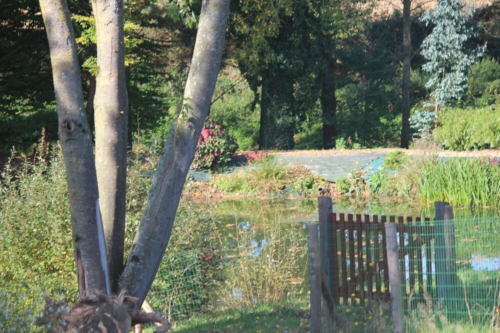 Entre Etang et Mer